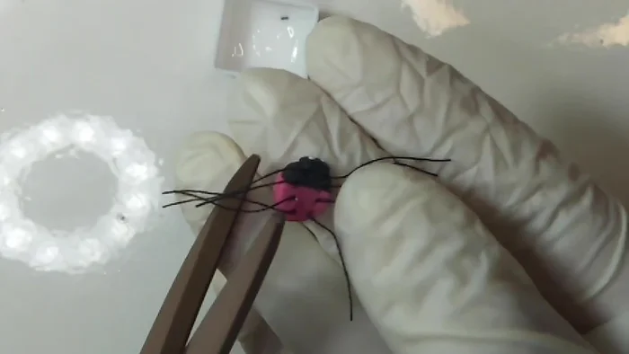 Trim legs to preferred length after glue is completely dry.