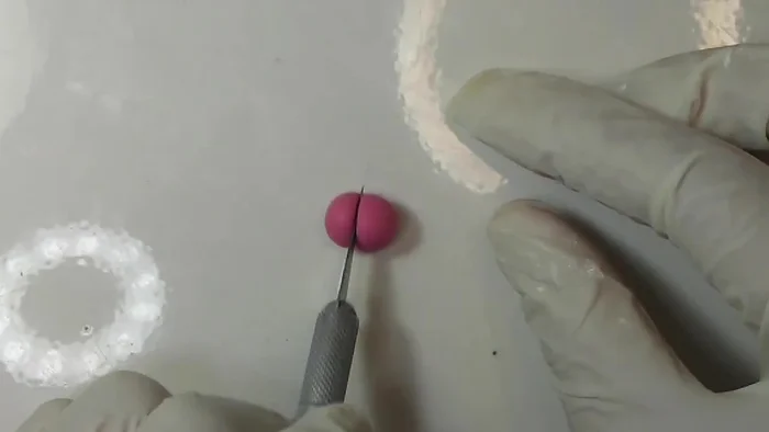 Join the head and body pieces, ensuring correct proportions. The pronotum (neck) should be about 1mm.