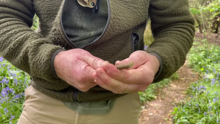 Gently twist and crack the bark off, using a knife tap to loosen if needed.