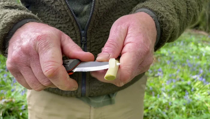 Tidy up the bottom of the cut down to the pith.