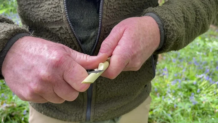 Tidy up the bottom of the cut down to the pith.
