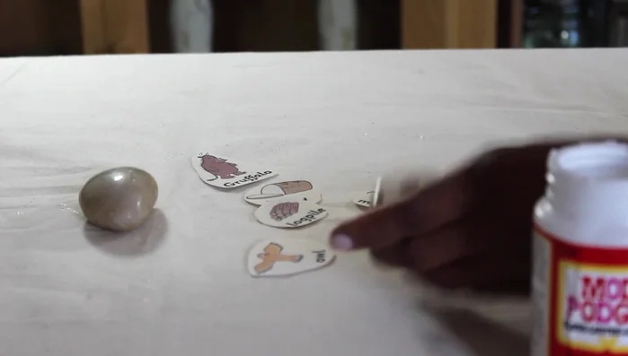 Apply a layer of Mod Podge over the image to seal it.