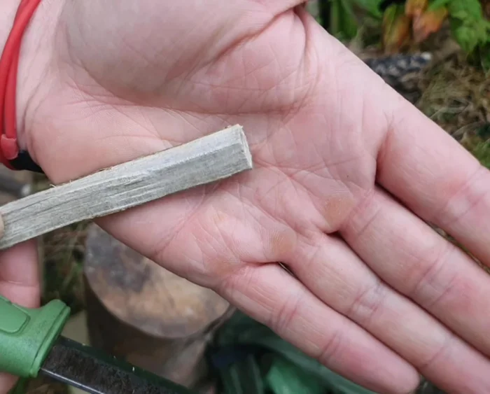 Round the corners: Create small V-cuts on the corners to round out the owl's face. This will be where the eyes will be.