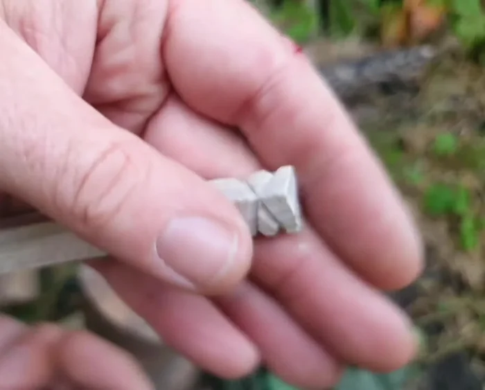 Define the ears: Cut down into the stop cuts to shape the ears.