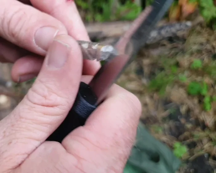 Define the ears: Cut down into the stop cuts to shape the ears.