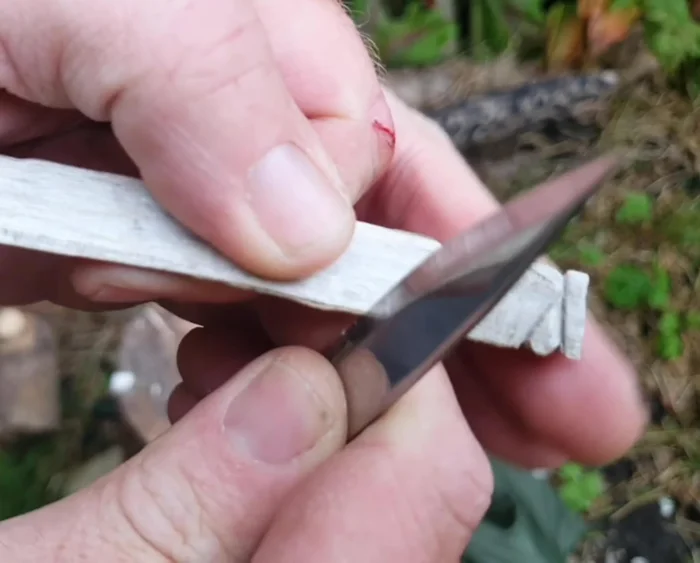 Add finishing touches: Round the end of the tail and add details using thumb push method. Draw eyes with a pen.