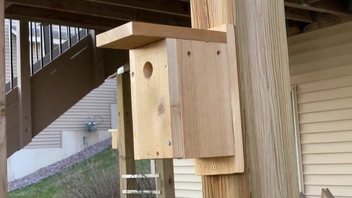 Prepare the wood and show your children how to use basic tools safely.