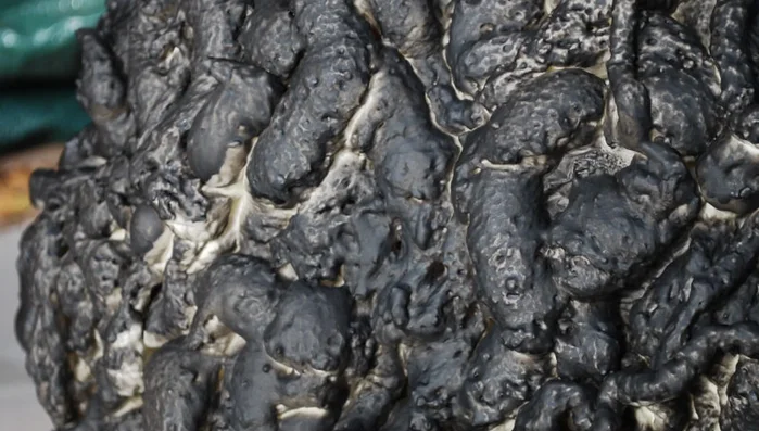 Wipe onto surface for a bumpy texture.