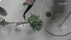 DIY Budget Scenery: Transforming Sponges into Realistic Ground Foam and Custom Trees
