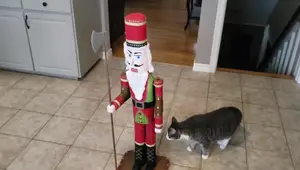 DIY Giant Wooden Nutcracker from Firewood: A Step-by-Step Guide