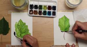 Realistic Leaf Painting from Life: A Step-by-Step Watercolor Guide