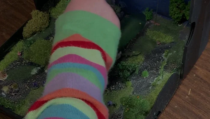 Allow everything to dry completely.