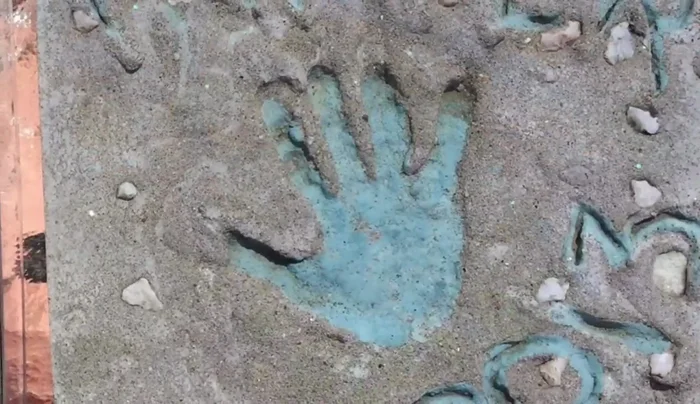 Allow the paint to dry completely.