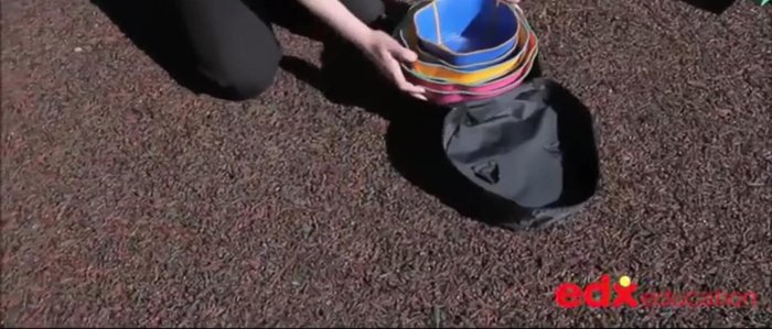 Highlight the molded ridges for enhanced grip and mention how the stones foster gross motor skills, balance, and coordination, crucial for young children's development.