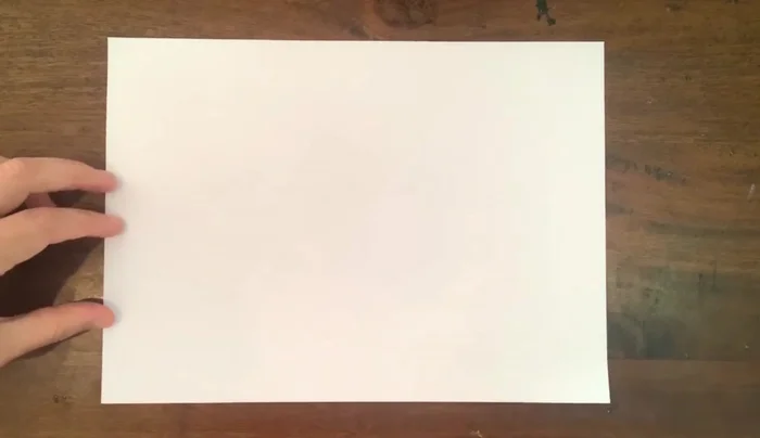 Draw the main fish: an egg shape for the body, a half-circle for the tail, and wavy lines for fins.