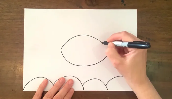 Draw the main fish: an egg shape for the body, a half-circle for the tail, and wavy lines for fins.