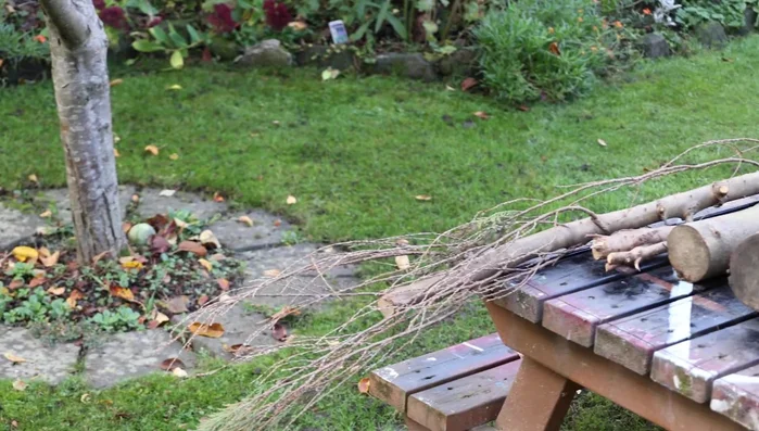 Source logs of varying sizes: a large one for the body, a smaller one for the head, and several smaller ones for the legs and antlers.