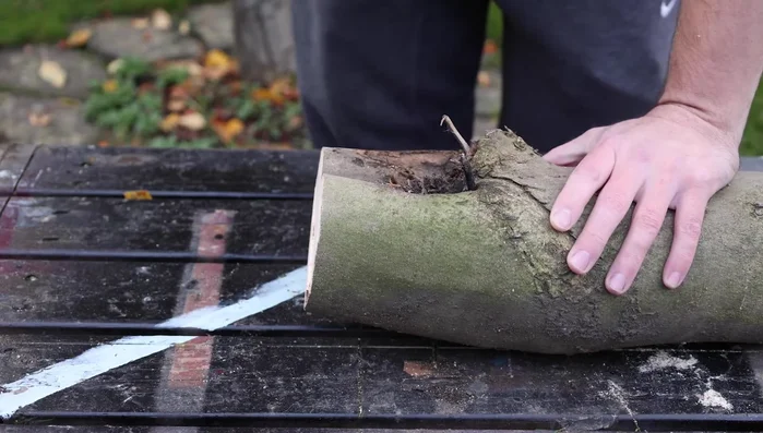 Drill a hole in the front of the body log for the neck.