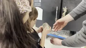 Seashell Art:  Transforming Seashells with Sand and Glass