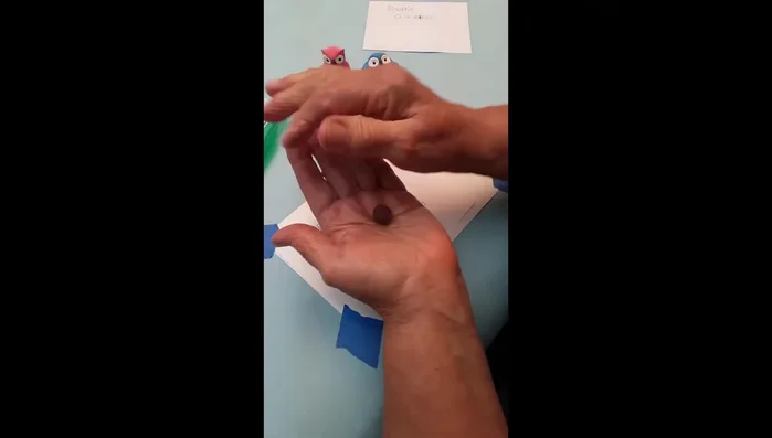 Make Feet: Roll brown clay into a rope, cut into three pieces, roll each into short carrots, and let them dry.