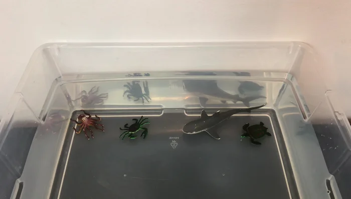 Test both boats by adding pennies until they sink. Observe how much weight each boat can hold.