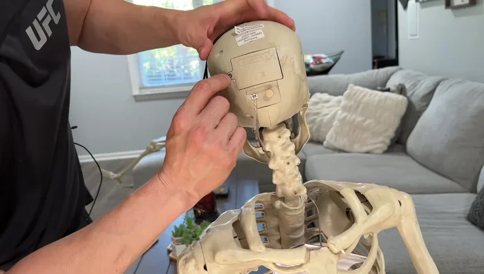 Marvel at the exceptionally detailed and realistic face, featuring individually carved teeth and expressive LED eyes that illuminate red.