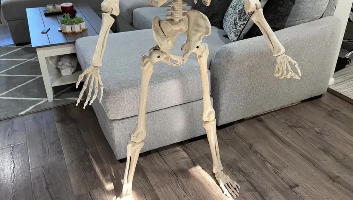 Admire the skeleton's remarkable stability; it stands upright without additional support.