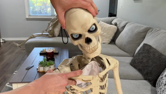 Position the skeleton as desired, leveraging its unparalleled range of motion to achieve the perfect Halloween display.