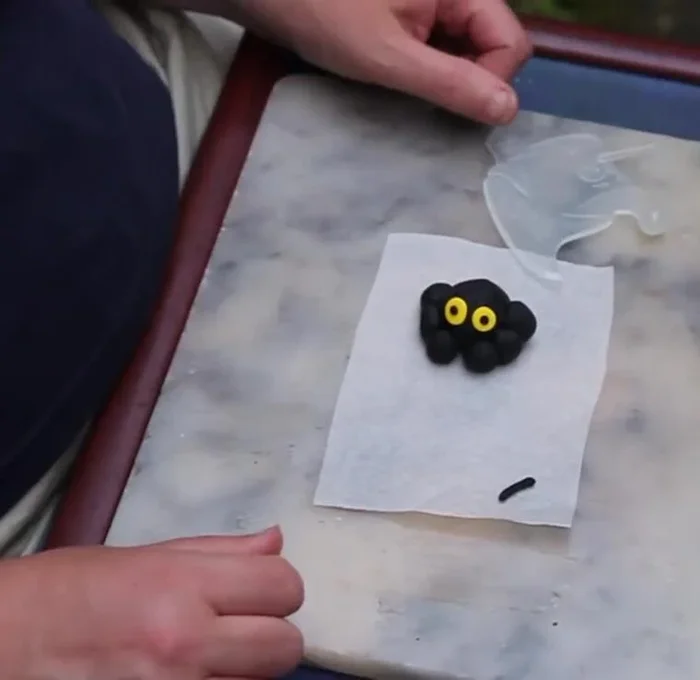 Let the spider dry completely.