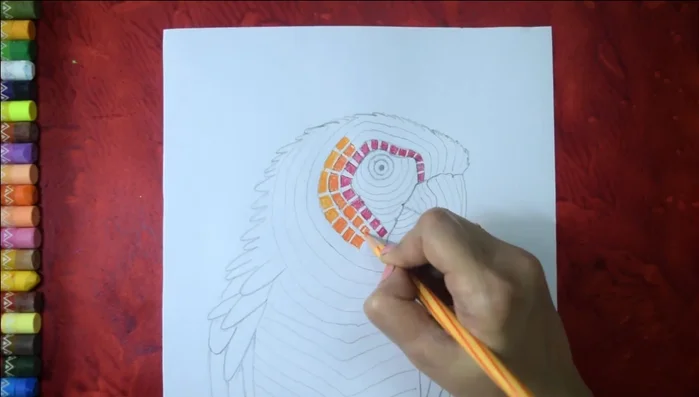 Start coloring the butterfly's body. The video uses black.