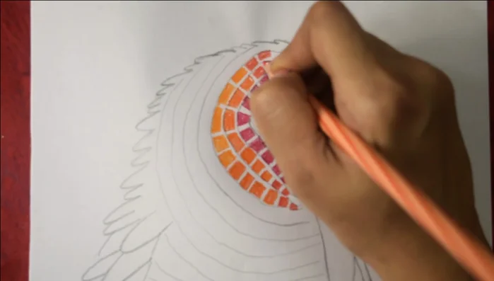 Fill in the wing patterns with color. The creator uses bright colors and suggests using orange for lighter areas.