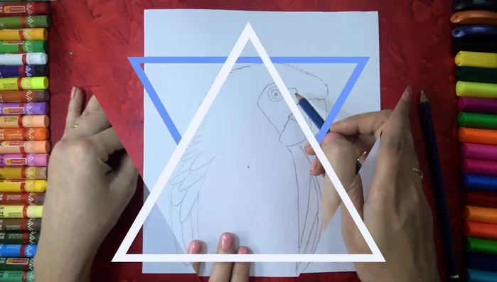 Create a pattern on the wings. The video uses a line pattern and suggests filling in areas with color.