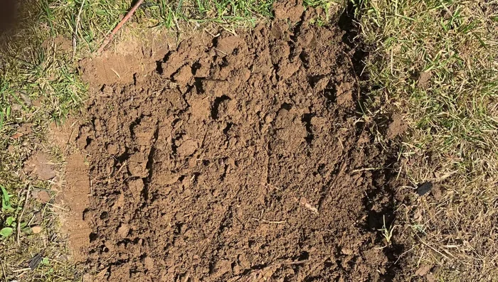 Lay stones: Dig a flat spot for the stone, place it, backfill around the stone, and let the dirt settle.