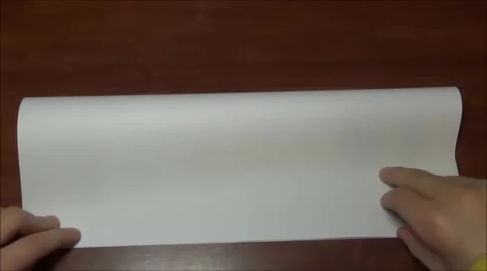 Open the paper and cut along the fold line.