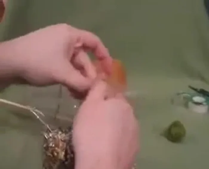 Place the filled terracotta pot on top of the dowel and spoons.