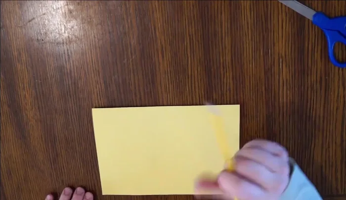 Create flower template: Fold construction paper in half. Draw arcs of varying sizes, leaving space between each arc. Cut out the arcs.